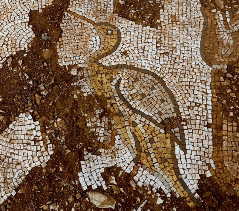 Roman Mosaic Depicting Sea Creatures