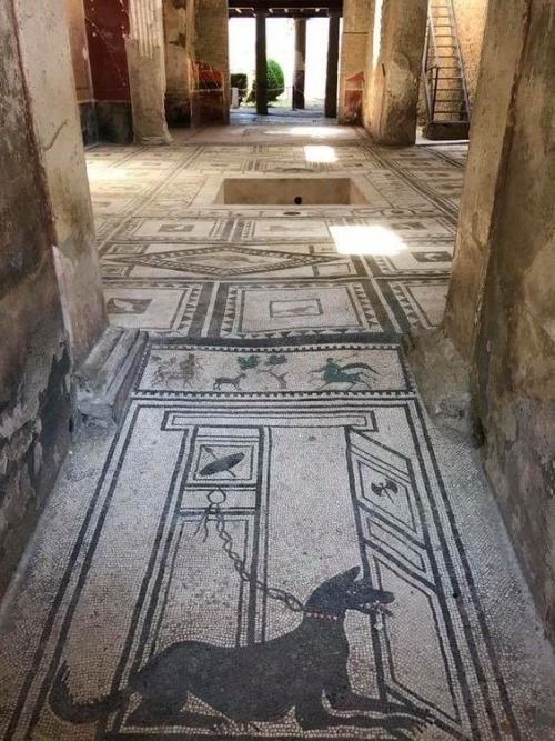 Roman Mosaic Floor In Pompeii<span class=