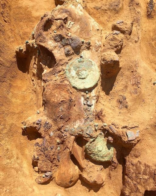 Sarmatian Burial Artifacts