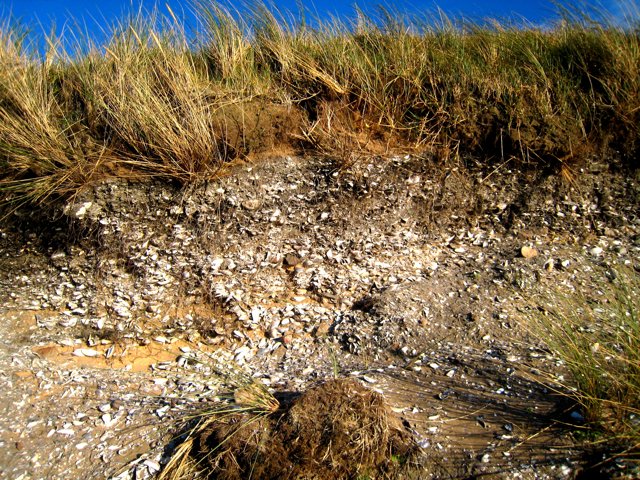 Shell Middens And Coastal Settlement Archaeology