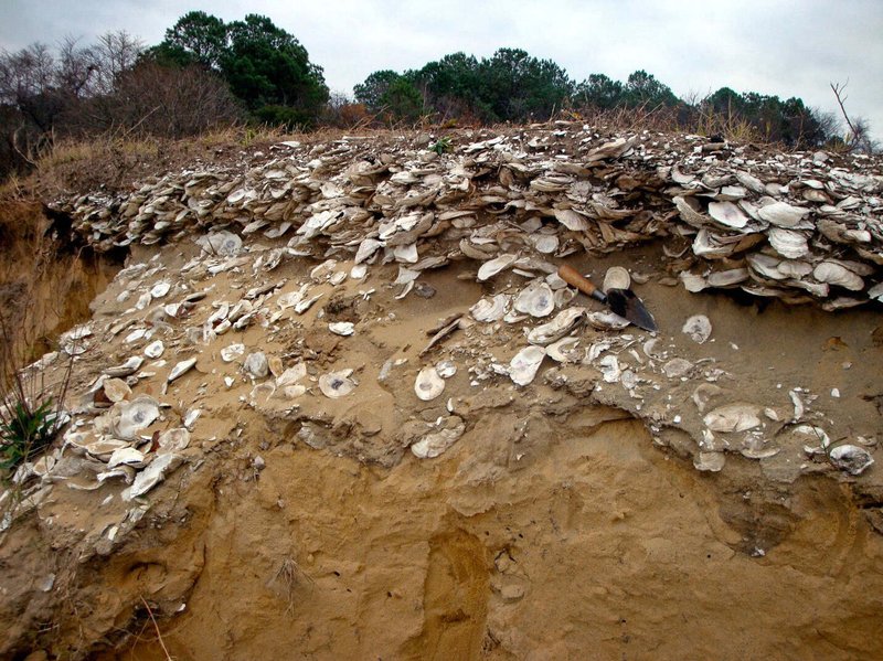 Shell Middens And Coastal Settlement Archaeology