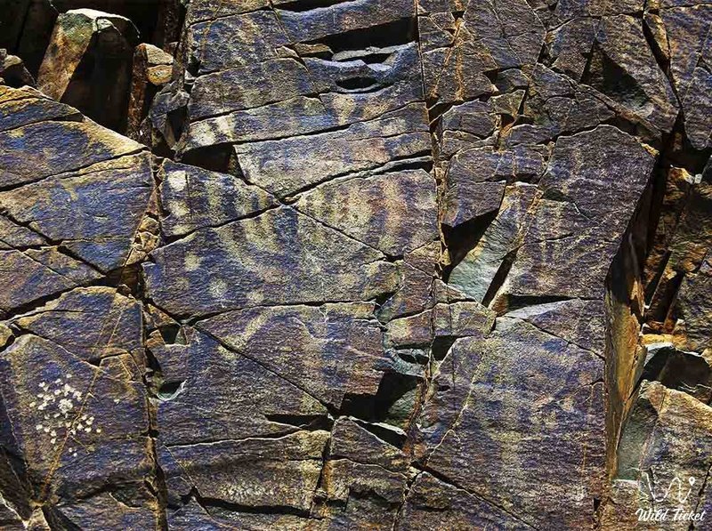 Steppe Petroglyphs Of Kazakhstan