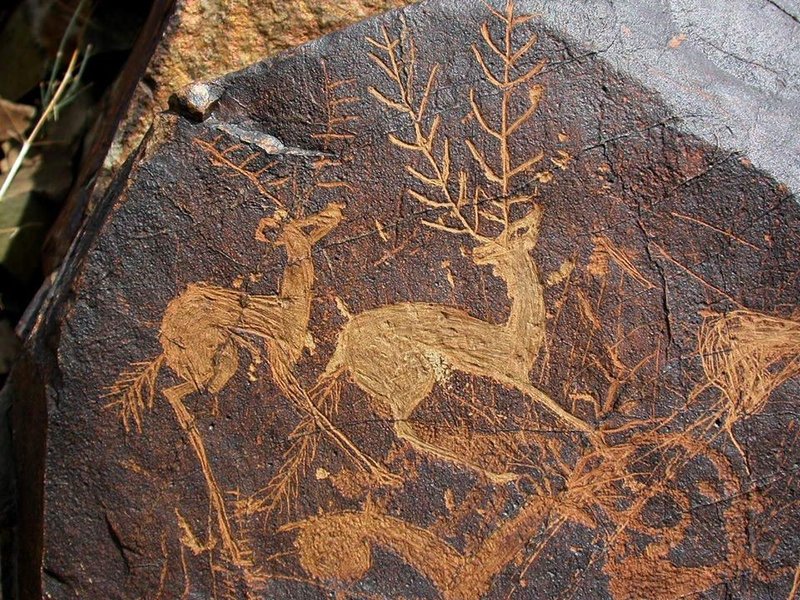 Steppe Petroglyphs Of Kazakhstan