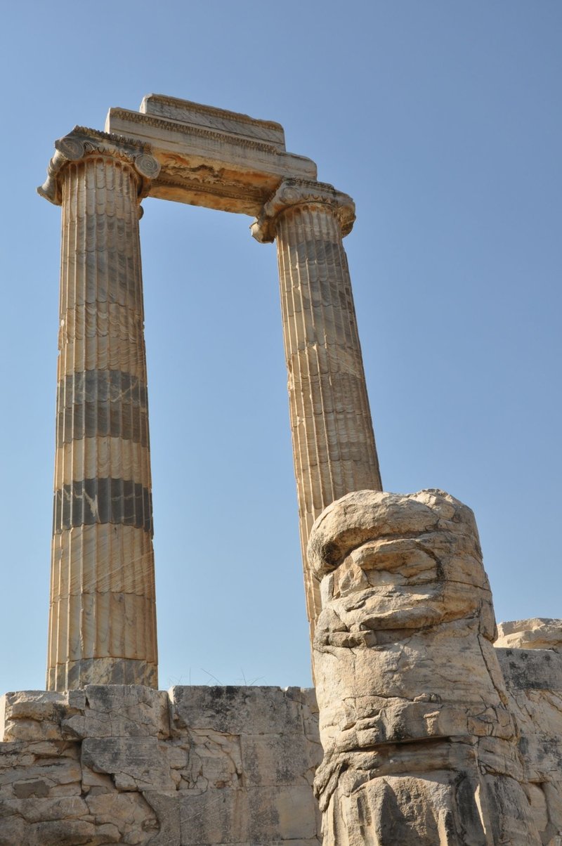 Temple Of Apollo At Didyma Columns