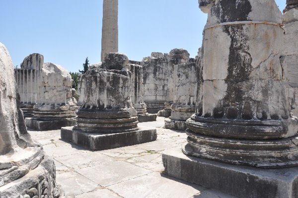 Temple Of Apollo At Didyma Columns