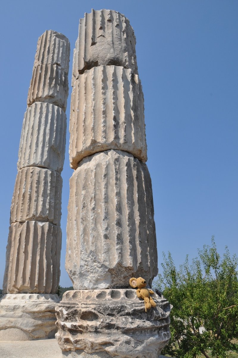 Temple Of Apollo Smintheus Ruins