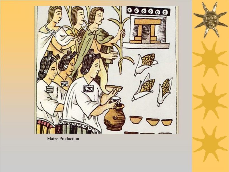 The Domestication Of Maize In Pre-Columbian Americas