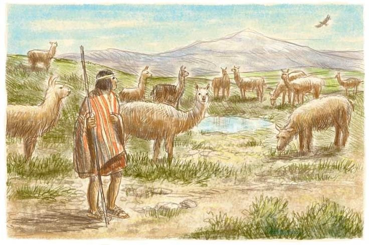 The Role Of Llamas In Inca Civilization