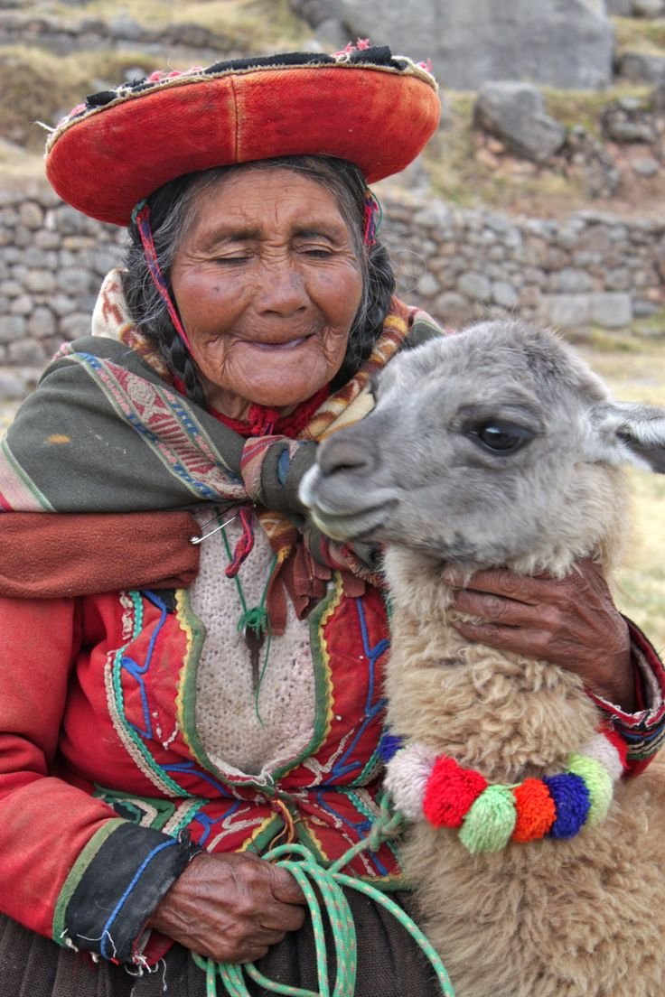 The Role Of Llamas In Inca Civilization<span class=