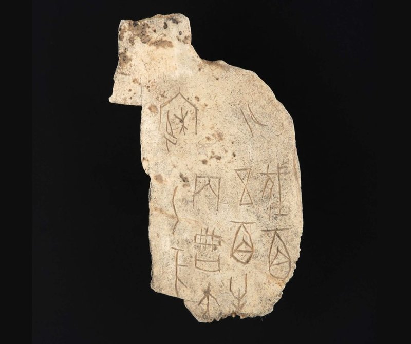 The Role Of Oracle Bones In Shang Dynasty China