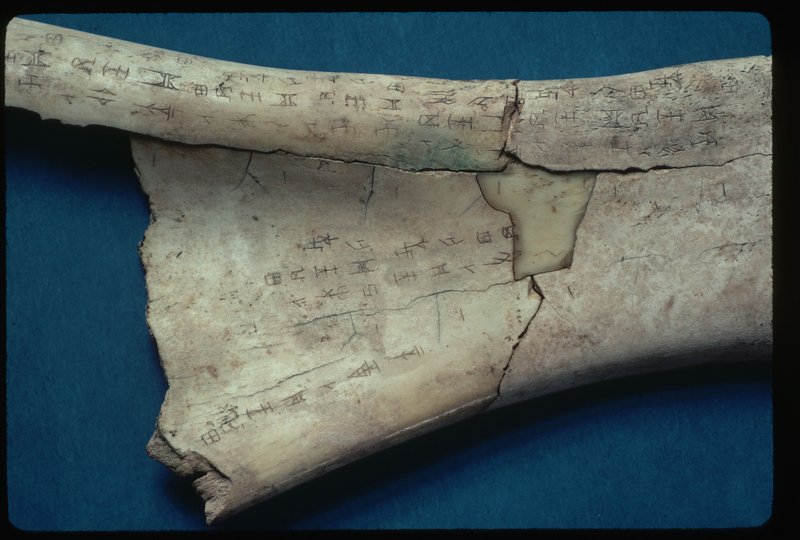 The Role Of Oracle Bones In Shang Dynasty China