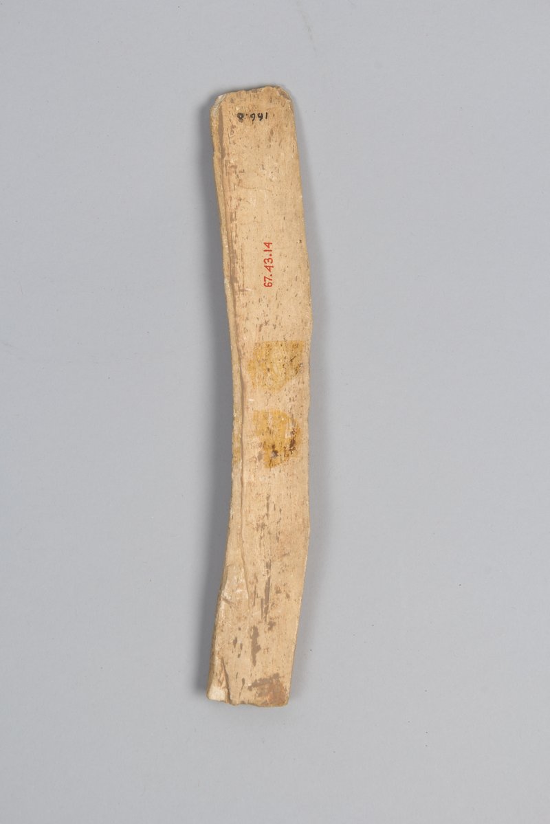 The Role Of Oracle Bones In Shang Dynasty China