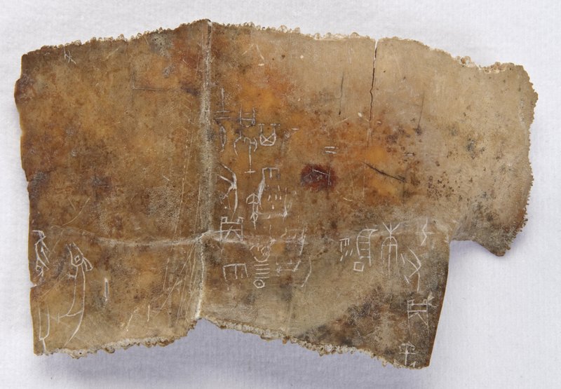 The Role Of Oracle Bones In Shang Dynasty China