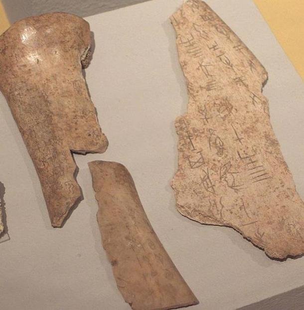 The Role Of Oracle Bones In Shang Dynasty China