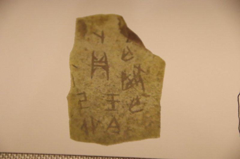 The Role Of Oracle Bones In Shang Dynasty China
