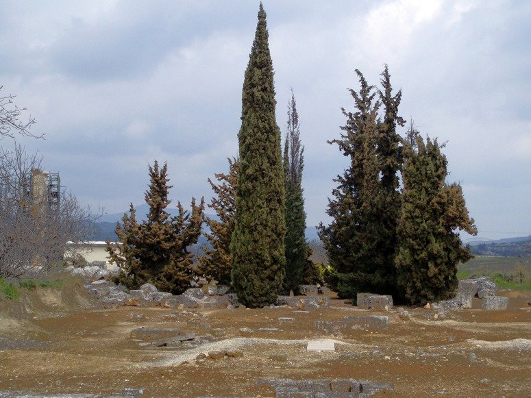 The Significance Of Sacred Groves In Classical Greece<span class=