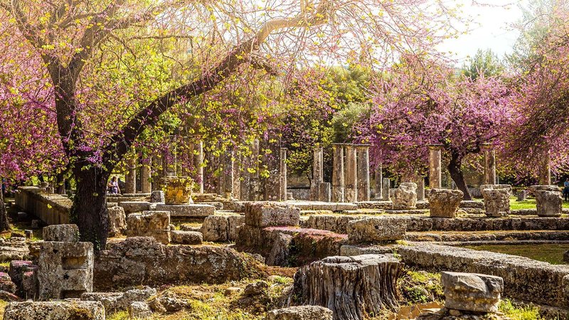 The Significance Of Sacred Groves In Classical Greece