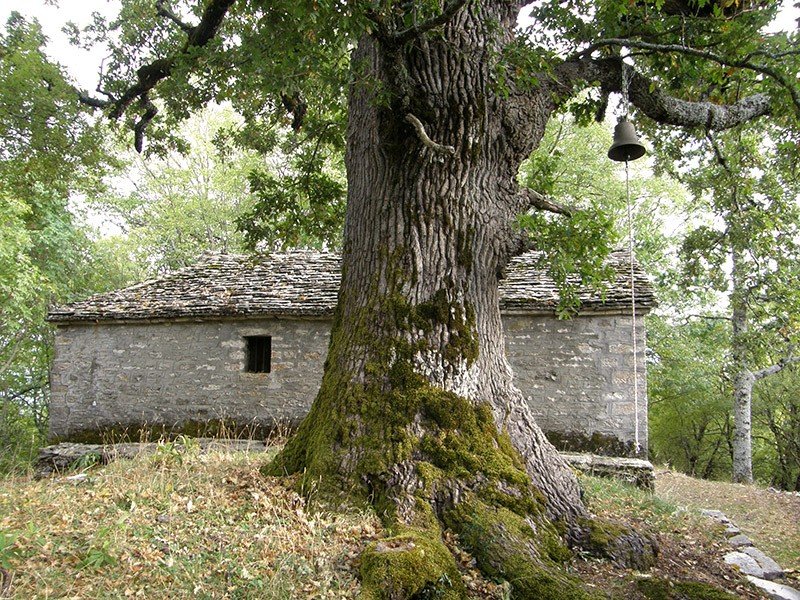 The Significance Of Sacred Groves In Classical Greece