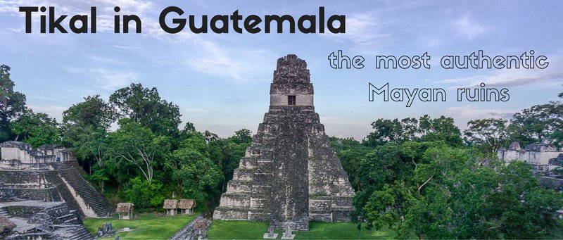 Tikal Mayan Ruins In Guatemala