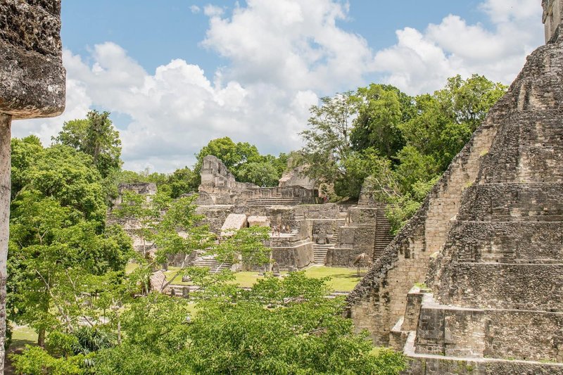 Tikal Mayan Ruins In Guatemala