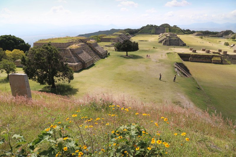 Zapotec Temple Steps And Altars